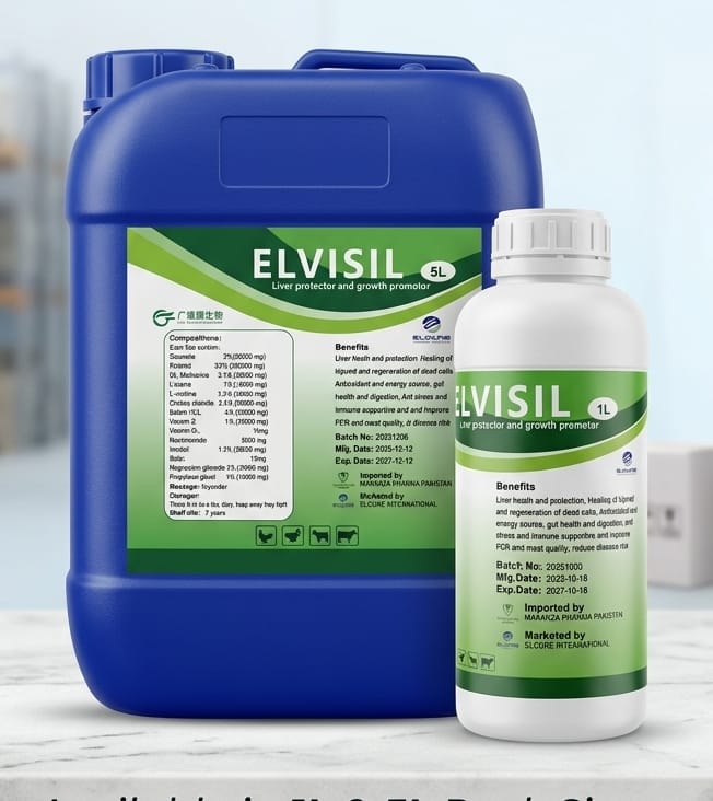 Elvisil